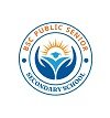 BSC Public Senior Secondary School, Kheroda