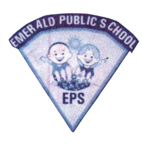 Emerald Public School Hindoli District bundi(raj)