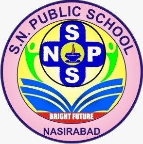 SN PUBLIC SCHOOL 