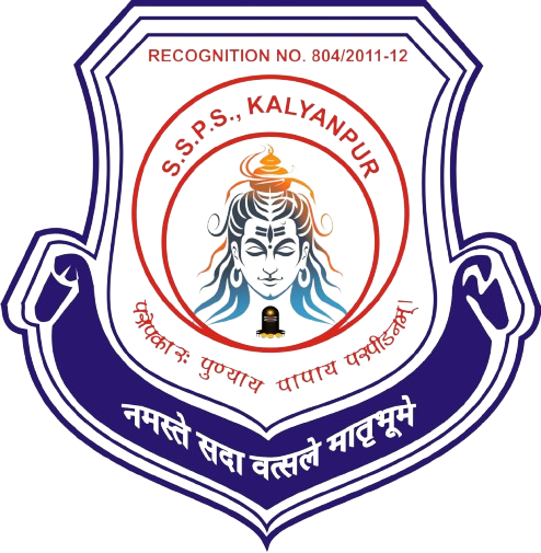 Shree sai public school